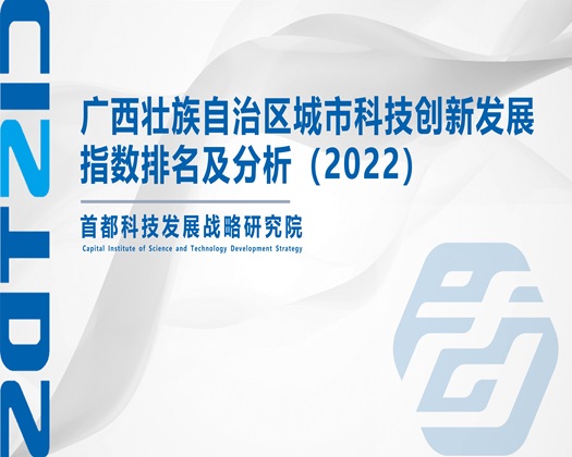 肥婆与马交【成果发布】广西壮族自治区城市科技创新发展指数排名及分析（2022）